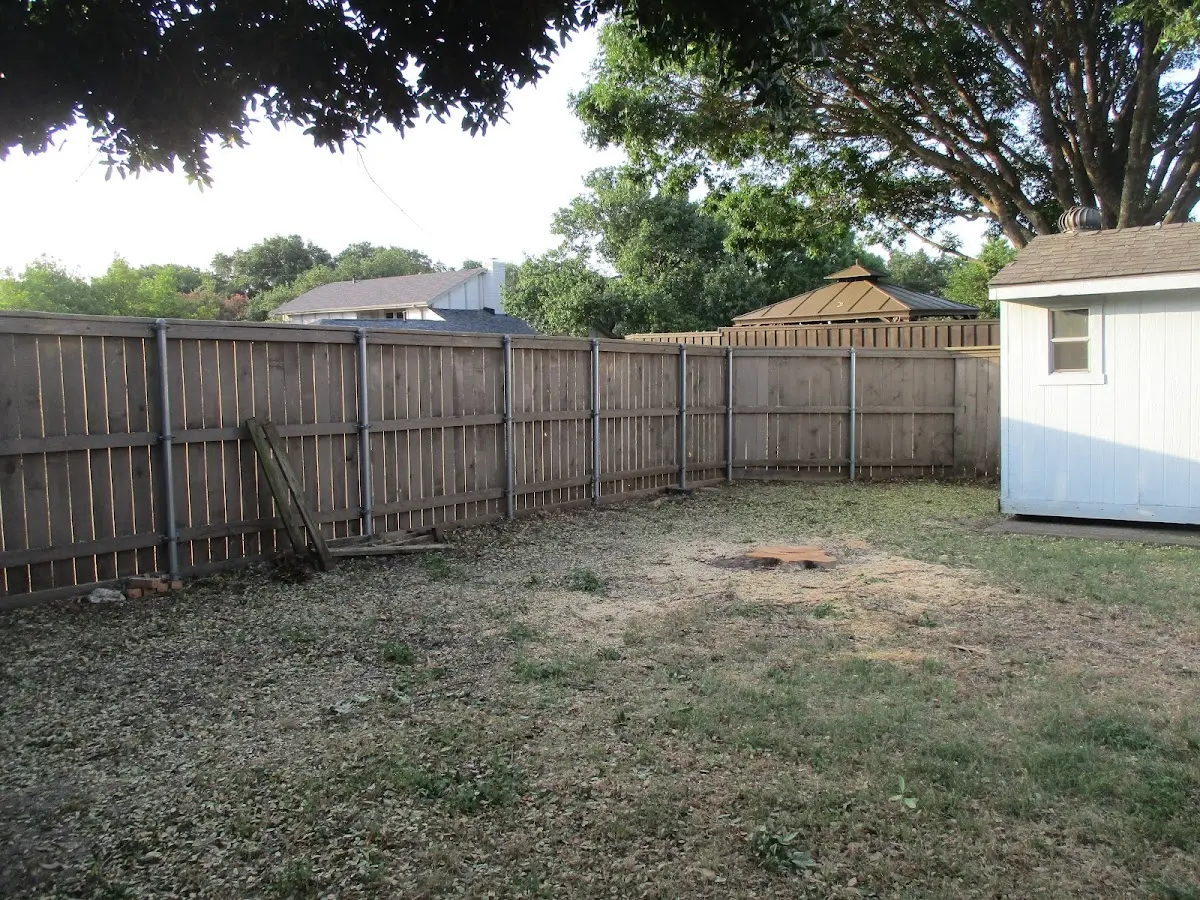 Cleared yard after professional tree removal in Otisville