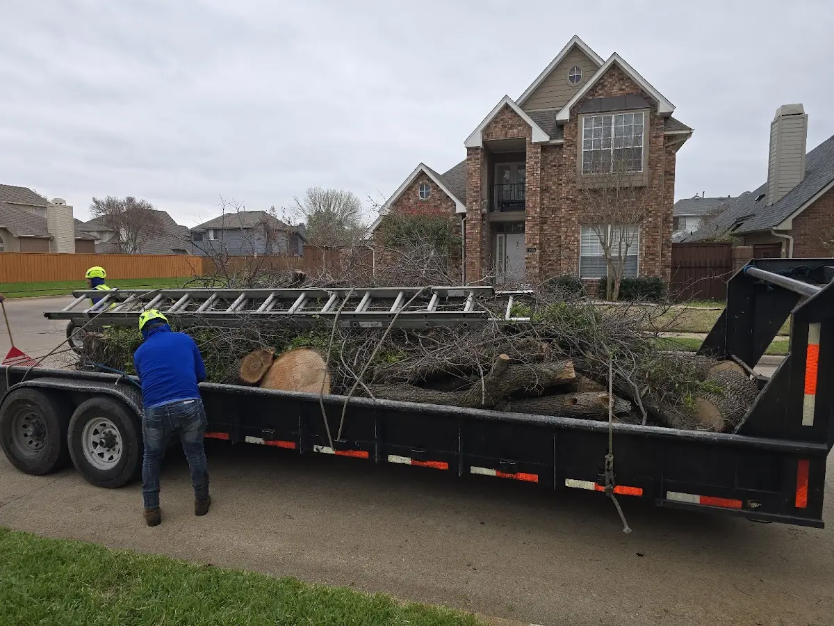 Expert Tree Fertilization with proper safety equipment in Otisville